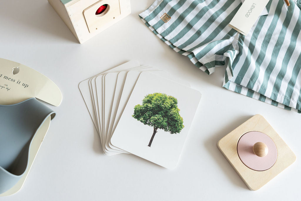 Snugglebox krabička na hračky a oblečení pro kojence (12-24 měsíců) - vývojová a vzdělávací