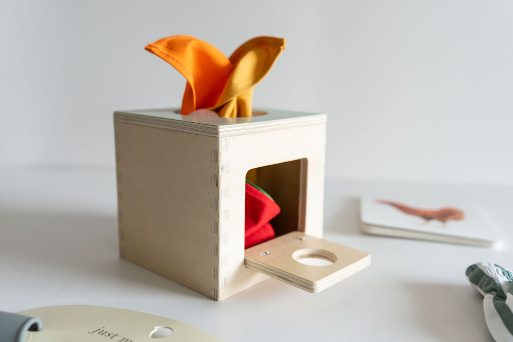 Snugglebox krabička na hračky a oblečení pro kojence (12-24 měsíců) - vývojová a vzdělávací